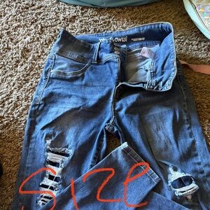 Wallflower high rise jeans